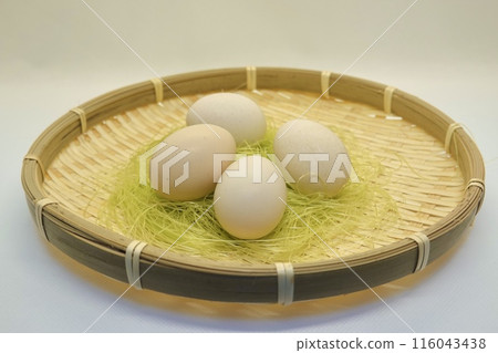 Crow bird chicken egg Crow bird chicken egg 116043438