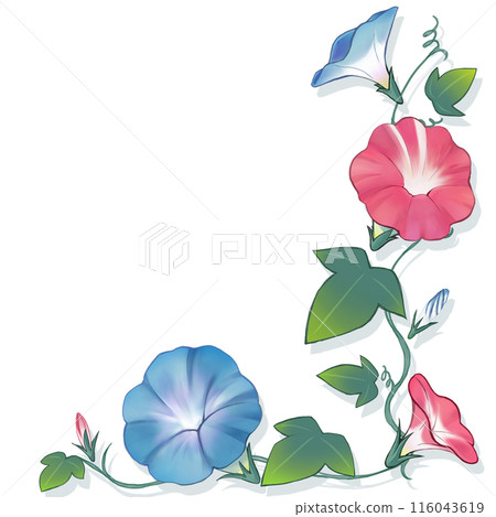 A corner material made of cool and vibrant morning glory 116043619