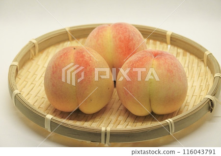 Peaches Nagata Peaches Peaches Nagata Peaches 116043791