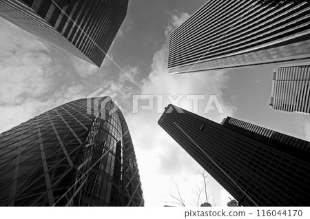 High-rise building group in Tokyo Shinjuku High-rise building group in Tokyo Shinjuku 116044170