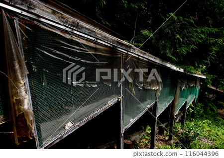 Cages left behind at a closed zoo 116044396