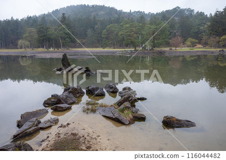 Rainy day at Motsuji Temple Garden in Hiraizumi, Iwate Prefecture 116044482