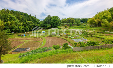 Kengyokozuka Tomb Asukamurakoshi Fields next to the tomb May 20, 2024 116044507