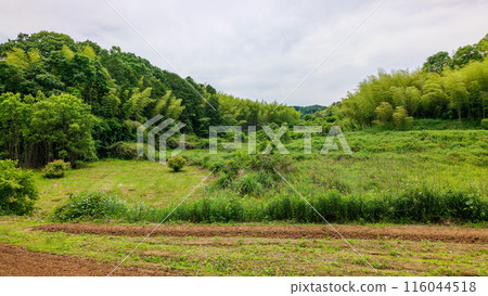 飛鳥村Kitora古墳至Kengyushizuka古墳真由美的道路2024年5月20日 飛鳥村Kitora古墳至Kengyushizuka古墳真由美的道路2024年5月20日 116044518