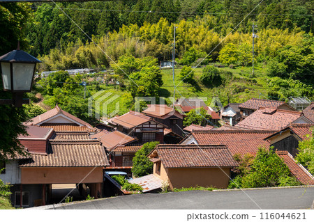 吹谷故里村：初夏的嫩葉和紅色的石州瓦片 116044621