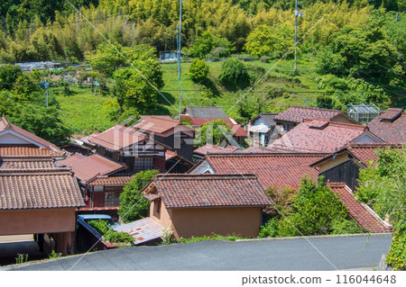 吹谷故里村：初夏的嫩葉和紅色的石州瓦片 116044648