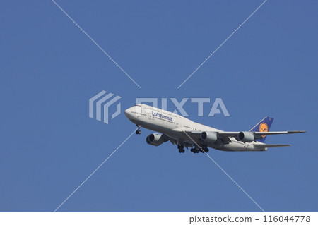 客機起飛並爬上藍天 116044778