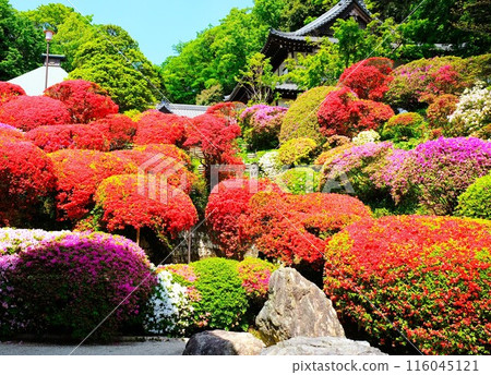 Kamikiyama Togakuin Temple Kamikiyama Togakuin Temple 116045121