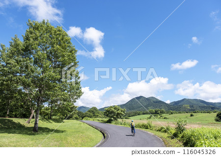 Fresh greenery and early summer cycling image (Hiruzen Plateau) 116045326
