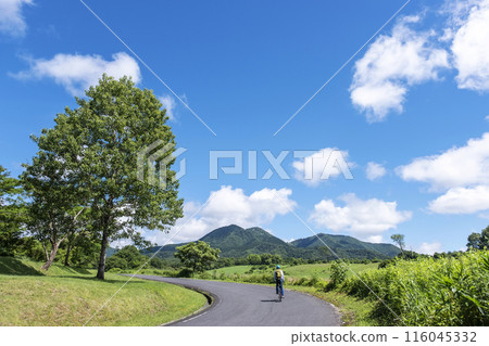 清新的綠意與初夏的騎乘形象（蒜山高原） 116045332