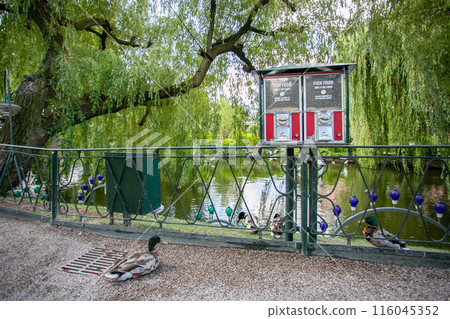 初夏的丹麥哥本哈根,池塘邊 初夏的丹麥哥本哈根,池塘邊 116045352