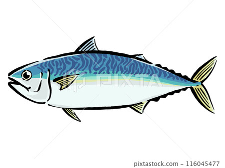 Illustration 116045477