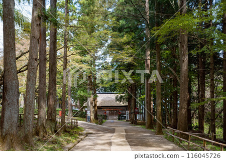 World Heritage Site, Chusonji Hakusan Shrine, Hiraizumi Town, Iwate Prefecture World Heritage Site, Chusonji Hakusan Shrine, Hiraizumi Town, Iwate Prefecture 116045726