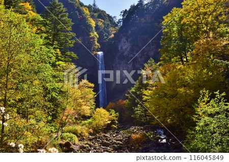 Autumn in Okuhida, Hirayu Falls Autumn in Okuhida, Hirayu Falls 116045849