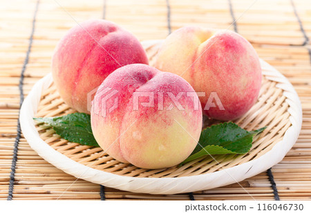 Summer Fruits Peaches (Wakayama Prefecture Peaches) Summer Fruits Peaches (Wakayama Prefecture Peaches) 116046730