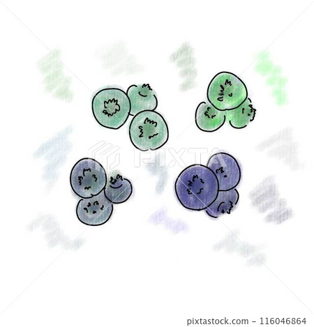 初夏水果☆藍莓4色數位插畫 初夏水果☆藍莓4色數位插畫 116046864