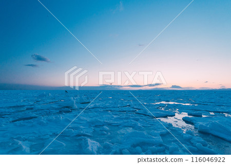 流冰湧動流冰海 116046922