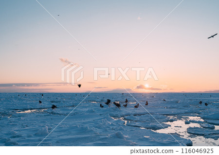 流冰湧動流冰海 流冰湧動流冰海 116046925