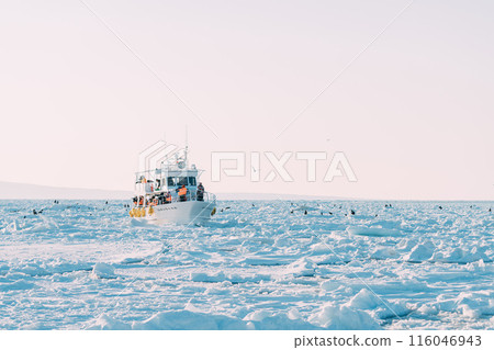 Drift ice and a tourist boat floating on the sea where drift ice remains Drift ice and a tourist boat floating on the sea where drift ice remains 116046943