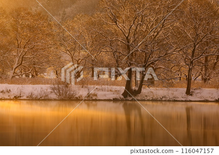 岩手縣北上市 北上川的冬景 岩手縣北上市 北上川的冬景 116047157