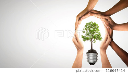 Bulbs with tree on soil. Earth day and earth day as group of diverse people joining to form hands connected together protecting the environment and promoting conservation and climate change issues. Bulbs with tree on soil. Earth day and earth day as group of diverse people joining to form hands connected together protecting the environment and promoting conservation and climate change issues. 116047414