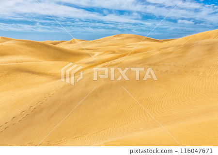 Maspalomas Duna - Desert in Canary island Gran Canaria Maspalomas Duna - Desert in Canary island Gran Canaria 116047671