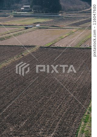 Rural landscape before adding water 116047680