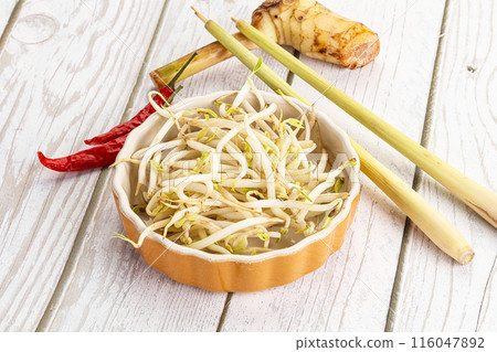 Asian cuisine Mash bean sprout Asian cuisine Mash bean sprout 116047892