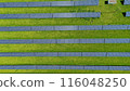 Aerial Perspective of a Solar Field.  116048250