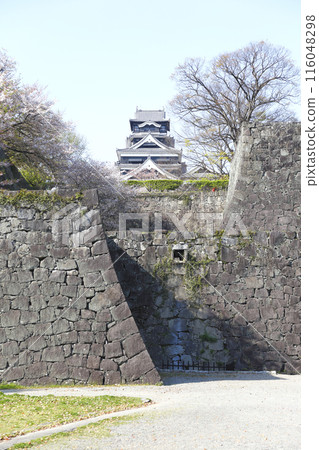 Looking up at Kumamoto Castle on its stone walls on a calm spring day Looking up at Kumamoto Castle on its stone walls on a calm spring day 116048298