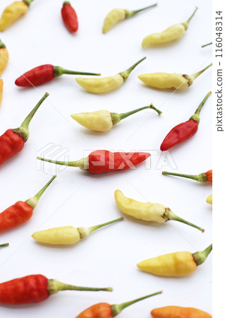 Fresh chili peppers on white background Fresh chili peppers on white background 116048314