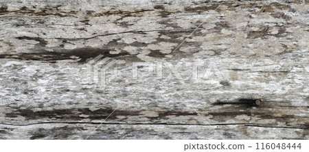 Old wood texture for background Old wood texture for background 116048444