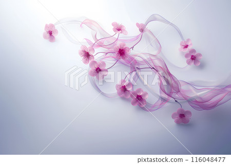 Plum blossoms and Japanese image-2 116048477