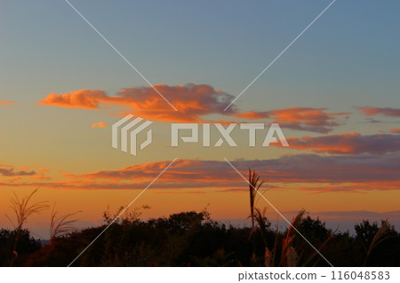 美麗的夕陽天空 美麗的夕陽天空 116048583