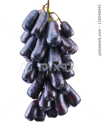 Black grape isolated on white background. 116048942
