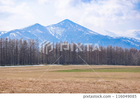 從十勝平原到日高山脈（北海道目室町） 116049085