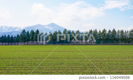 From the Tokachi Plain to the Hidaka Mountains (Memuro Town, Hokkaido) 116049086