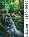 落在森林裡流淌 116049649