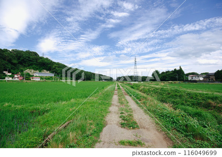 Satoyama's pastoral scenery Satoyama's pastoral scenery 116049699