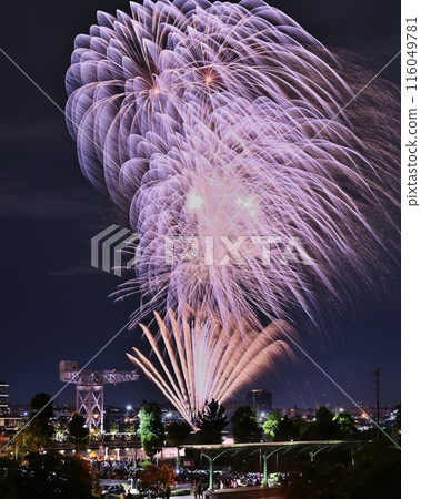 舊橫濱港站、雙髻鯊和煙火 116049781