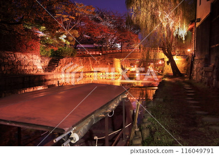 滋賀縣近江八幡市八幡堀的紅葉燈火通明 116049791