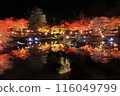 Izu Shuzenji Niji no Sato Maple Light-up 116049799