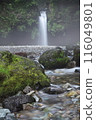 Shizuoka Prefecture Jinma Waterfall 116049801