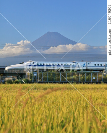 新幹線、富士山、稻田的風景 新幹線、富士山、稻田的風景 116049802