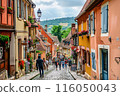 A picturesque narrow street in a European village lined with colorful buildings and flowers by Generative AI 116050043