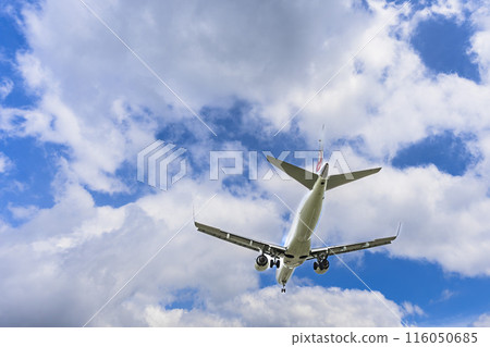 Osaka Airport (Itami Airport) in summer, landing plane, Toyonaka City, Osaka Prefecture 116050685
