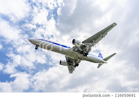 夏季 大阪機場(伊丹機場) 飛機降落大阪府豐中市 夏季 大阪機場(伊丹機場) 飛機降落大阪府豐中市 116050691