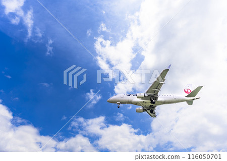 夏季 大阪機場（伊丹機場） 飛機降落大阪府豐中市 116050701