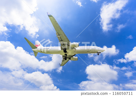 夏季 大阪機場(伊丹機場) 飛機降落大阪府豐中市 夏季 大阪機場(伊丹機場) 飛機降落大阪府豐中市 116050711