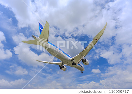 Osaka Airport (Itami Airport) in summer, landing plane, Toyonaka City, Osaka Prefecture Osaka Airport (Itami Airport) in summer, landing plane, Toyonaka City, Osaka Prefecture 116050717